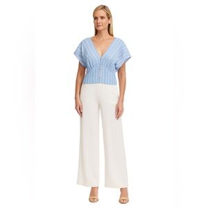 NWT American Eagle Blue Pink Pinstripe Cropped V Neck Top Size Medium